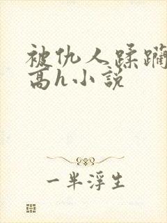 被仇人蹂躏折磨高h小说