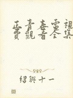 正青春电视剧免费观看全集西瓜