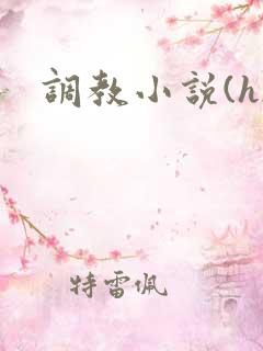 调教小说(h)