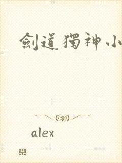 剑道独神小说