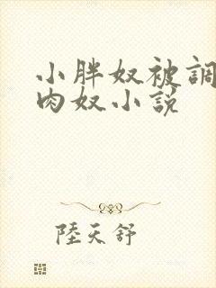 小胖奴被调教成肉奴小说