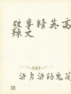 破事精英高h肉辣文