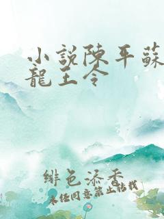 小说陈平苏雨琪龙王令