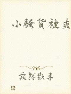 小骚货被爽视频