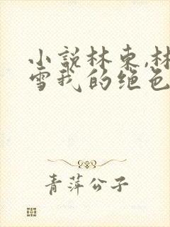 小说林东,林妙雪我的绝色老板娘