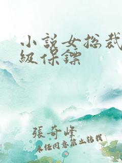 小说女总裁的神级保镖