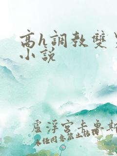 高h调教双男主小说