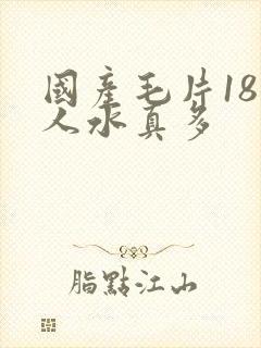 国产毛片18女人水真多