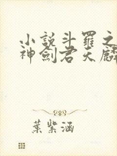 小说斗罗之灵珠神剑君天麟免费阅读全文作者