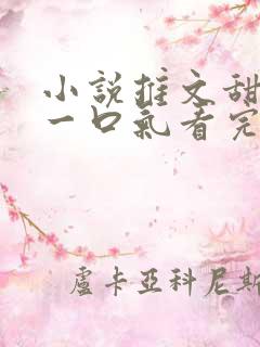 小说推文甜宠文一口气看完