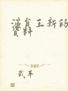 演员王新的个人资料