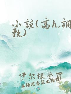 小说(高h,调教)