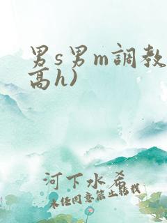 男s男m调教(高h)