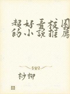 超好看校园言情的小说推荐