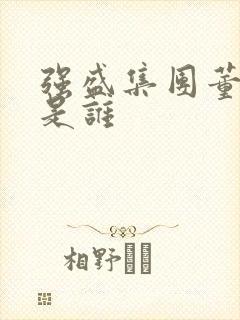 强盛集团董事长是谁