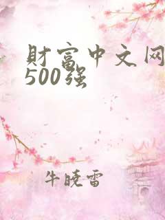 财富中文网中国500强