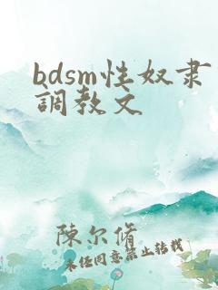 bdsm性奴隶调教文