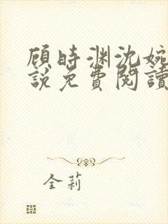 顾时渊沈婉婷小说免费阅读最新章节