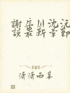 谢序川沈沅珠小说最新章节免费阅读