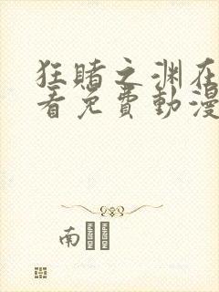 狂赌之渊在线观看免费动漫