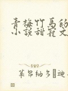 青梅竹马的言情小说甜宠文