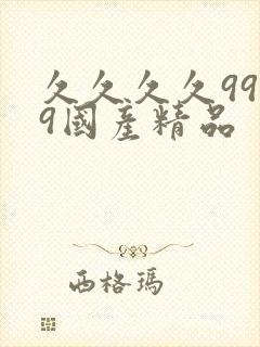 久久久久9999国产精品