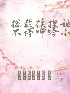 总裁揉捏她两乳不停呻吟小视频