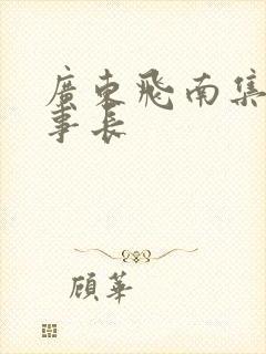 广东飞南集团董事长