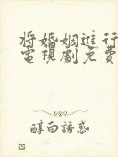 将婚姻进行到底电视剧免费观看全集