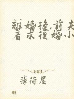 离婚后,前夫哭着求复婚小说免费阅读原文