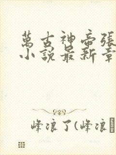 万古神帝张若尘小说最新章节列表