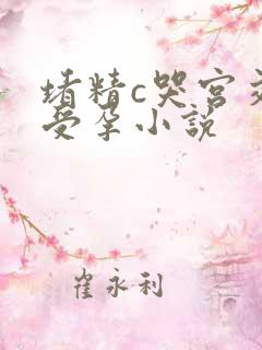 堵精c哭宫交h受孕小说