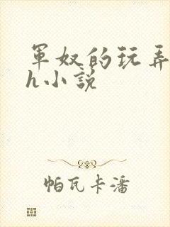 军奴的玩弄调教h小说