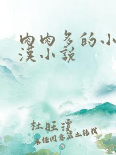 肉肉多的小说糙汉小说