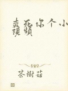 爽死你个小骚货视频