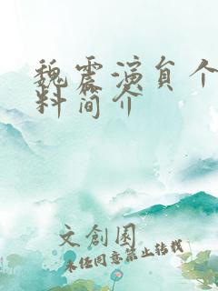 魏震演员个人资料简介