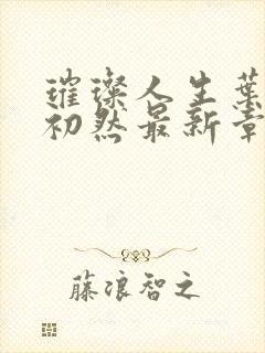 璀璨人生叶辰萧初然最新章节