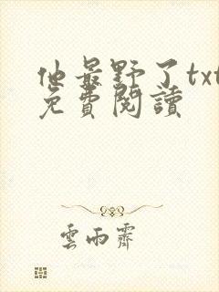 他最野了txt免费阅读