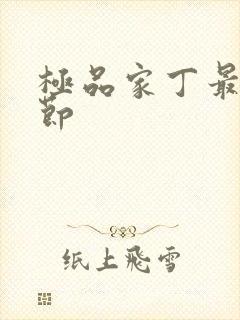 极品家丁最新章节