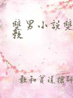 双男小说双性调教