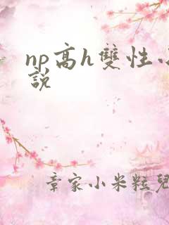 np高h双性小说