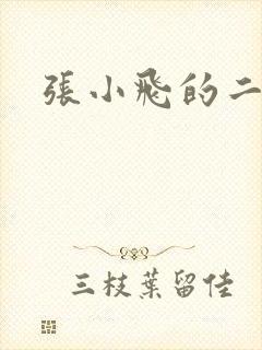 张小飞的二人转