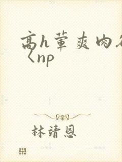 高h荤爽肉欲文〈np