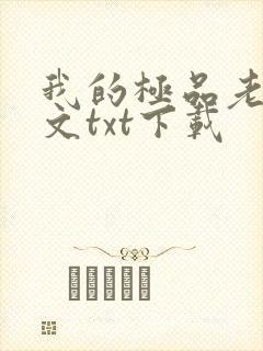 我的极品老婆全文txt下载