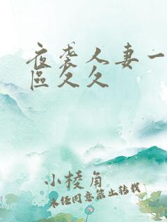 夜袭人妻一区二区久久