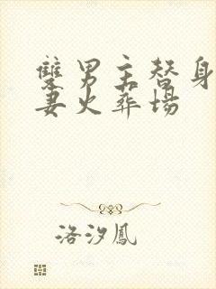 双男主替身梗追妻火葬场