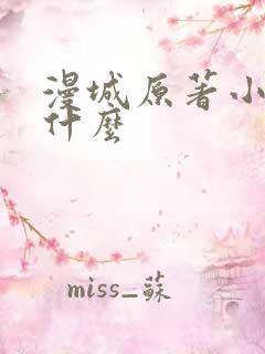 漫城原著小说叫什么