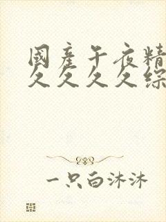 国产午夜精品久久久久久综合