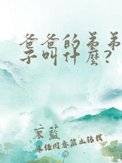 爸爸的弟弟的儿子叫什么?