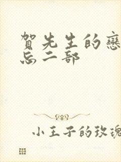 贺先生的恋恋不忘二部